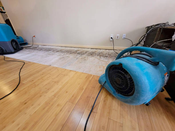 Professional Ceiling Water Damage Repair technician working in Alma, CO