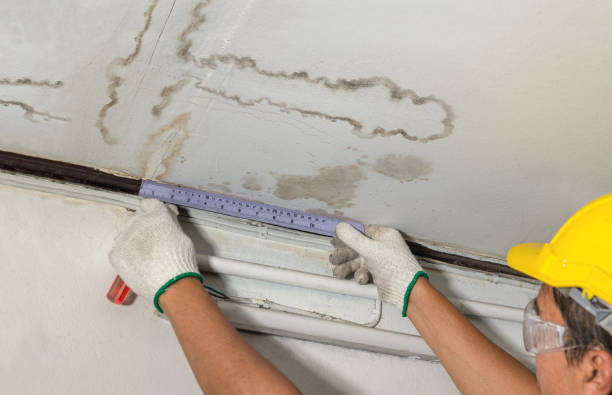 Affordable Ceiling Water Damage Repair solutions in Alma, CO